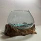 Decorative Driftwood Blown Glass Aquarium or Terrarium