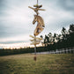 Horse Lovers Bell Wind Chime, field background.